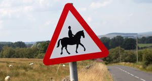 66 horses were killed in road accidents last year